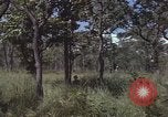 Image of United States soldiers Vietnam, 1965, second 14 stock footage video 65675075032