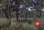 Image of United States soldiers Vietnam, 1965, second 15 stock footage video 65675075032