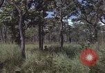 Image of United States soldiers Vietnam, 1965, second 16 stock footage video 65675075032