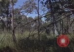 Image of United States soldiers Vietnam, 1965, second 18 stock footage video 65675075032