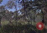 Image of United States soldiers Vietnam, 1965, second 20 stock footage video 65675075032