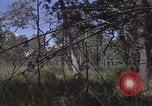 Image of United States soldiers Vietnam, 1965, second 21 stock footage video 65675075032