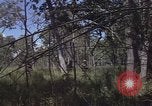 Image of United States soldiers Vietnam, 1965, second 22 stock footage video 65675075032