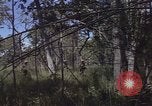 Image of United States soldiers Vietnam, 1965, second 23 stock footage video 65675075032
