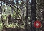 Image of United States soldiers Vietnam, 1965, second 25 stock footage video 65675075032