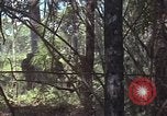 Image of United States soldiers Vietnam, 1965, second 26 stock footage video 65675075032
