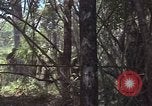 Image of United States soldiers Vietnam, 1965, second 28 stock footage video 65675075032