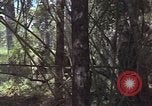 Image of United States soldiers Vietnam, 1965, second 29 stock footage video 65675075032