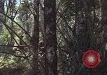 Image of United States soldiers Vietnam, 1965, second 30 stock footage video 65675075032