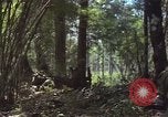 Image of United States soldiers Vietnam, 1965, second 39 stock footage video 65675075032