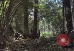 Image of United States soldiers Vietnam, 1965, second 40 stock footage video 65675075032
