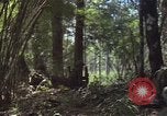 Image of United States soldiers Vietnam, 1965, second 41 stock footage video 65675075032