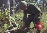 Image soldats des États-Unis Vietnam, 1965, de la seconde 11 séquences d'archives historiques vidéo 65675075033