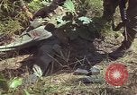 Image soldats des États-Unis Vietnam, 1965, de la seconde 16 séquences d'archives historiques vidéo 65675075033