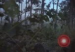Image soldats des États-Unis Vietnam, 1965, de la seconde 46 séquences d'archives historiques vidéo 65675075034
