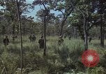 Image soldats des États-Unis Vietnam, 1965, de la seconde 25 séquences d'archives historiques vidéo 65675075036