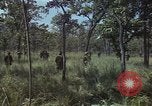 Image soldats des États-Unis Vietnam, 1965, de la seconde 27 séquences d'archives historiques vidéo 65675075036