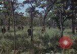 Image soldats des États-Unis Vietnam, 1965, de la seconde 28 séquences d'archives historiques vidéo 65675075036