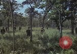 Image soldats des États-Unis Vietnam, 1965, de la seconde 30 séquences d'archives historiques vidéo 65675075036