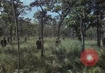 Image soldats des États-Unis Vietnam, 1965, de la seconde 31 séquences d'archives historiques vidéo 65675075036