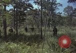 Image soldats des États-Unis Vietnam, 1965, de la seconde 38 séquences d'archives historiques vidéo 65675075036