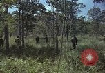 Image soldats des États-Unis Vietnam, 1965, de la seconde 39 séquences d'archives historiques vidéo 65675075036