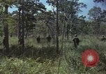 Image soldats des États-Unis Vietnam, 1965, de la seconde 40 séquences d'archives historiques vidéo 65675075036