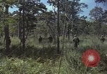 Image soldats des États-Unis Vietnam, 1965, de la seconde 41 séquences d'archives historiques vidéo 65675075036