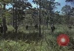 Image soldats des États-Unis Vietnam, 1965, de la seconde 42 séquences d'archives historiques vidéo 65675075036