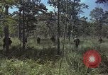 Image soldats des États-Unis Vietnam, 1965, de la seconde 43 séquences d'archives historiques vidéo 65675075036