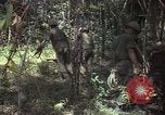 Image soldats des États-Unis Vietnam, 1965, de la seconde 59 séquences d'archives historiques vidéo 65675075036