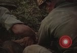 Immagine di Soldati statunitensi Il Vietnam, 1965, secondo 49 filmato di repertorio 65675075037