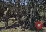 Immagine di Soldati statunitensi Il Vietnam, 1965, secondo 9 filmato di repertorio 65675075041