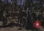 Immagine di Soldati statunitensi Il Vietnam, 1965, secondo 10 filmato di repertorio 65675075041