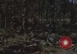 Immagine di Soldati statunitensi Il Vietnam, 1965, secondo 18 filmato di repertorio 65675075041