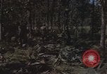 Immagine di Soldati statunitensi Il Vietnam, 1965, secondo 19 filmato di repertorio 65675075041