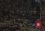 Immagine di Soldati statunitensi Il Vietnam, 1965, secondo 20 filmato di repertorio 65675075041