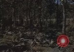 Immagine di Soldati statunitensi Il Vietnam, 1965, secondo 21 filmato di repertorio 65675075041