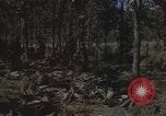 Immagine di Soldati statunitensi Il Vietnam, 1965, secondo 22 filmato di repertorio 65675075041