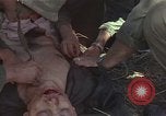 Immagine di Soldati statunitensi Il Vietnam, 1965, secondo 50 filmato di repertorio 65675075041
