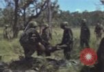 Standbild USA Soldaten Vietnam, 1965, aus Sekunde 12 historischem Filmmaterial Videoclip 65675075042