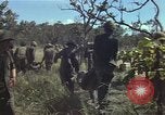 Standbild USA Soldaten Vietnam, 1965, aus Sekunde 36 historischem Filmmaterial Videoclip 65675075042