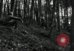 Image of United States infantrymen Germany, 1944, second 17 stock footage video 65675075047