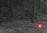 Immagine di Soldati statunitensi Gressenich Germania, 1944, secondo 40 filmato di repertorio 65675075050