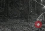 Immagine di Soldati statunitensi Gressenich Germania, 1944, secondo 43 filmato di repertorio 65675075050