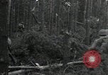Immagine di Soldati statunitensi Gressenich Germania, 1944, secondo 60 filmato di repertorio 65675075050
