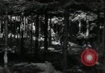 Standbild USA Infanteristen Deutschland, 1944, aus Sekunde 24 historischem Filmmaterial Videoclip 65675075053