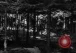 Standbild USA Infanteristen Deutschland, 1944, aus Sekunde 25 historischem Filmmaterial Videoclip 65675075053