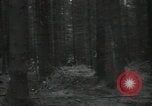 Standbild USA Infanteristen Deutschland, 1944, aus Sekunde 28 historischem Filmmaterial Videoclip 65675075053