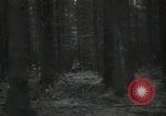 Standbild USA Infanteristen Deutschland, 1944, aus Sekunde 29 historischem Filmmaterial Videoclip 65675075053